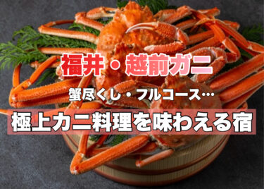 福井県【越前がにプランを堪能できる人気の温泉宿おすすめ１１選】北陸グルメ旅！