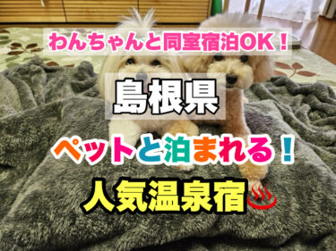 島根県【ペット同室宿泊OK！温泉が楽しめる人気宿おすすめ５選】
