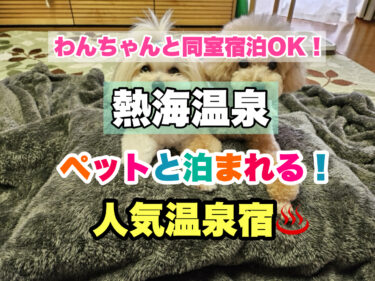 熱海温泉【ペット同伴宿泊OK！愛犬と過ごせる人気宿ならココ！】静岡県