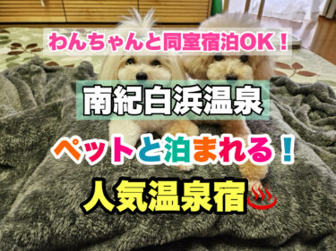 白浜温泉【ペット同伴宿泊OK！愛犬と過ごせる人気宿おすすめ３選】和歌山県