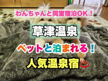 草津温泉【ペット同伴宿泊OK！愛犬と過ごす人気宿ならココ！】群馬県