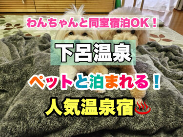 下呂温泉【ペット同伴宿泊OK！愛犬と過ごせる人気宿ならココ！】岐阜県