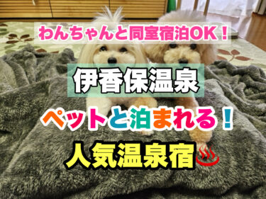 伊香保温泉【ペット同伴宿泊OK！愛犬と過ごす人気宿ならココ！】群馬県
