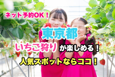 東京【いちご狩り・食べ放題の人気スポット５選】ネット予約OK！お子様連れ・カップルにおすすめ！