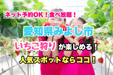 みよし市【いちご狩り・食べ放題の人気スポット！】ネット予約OK！愛知県