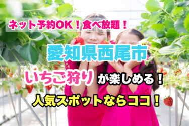 西尾市【いちご狩り・食べ放題の人気スポット】ネット予約OK！愛知県・お子様連れ、グループにおすすめ！