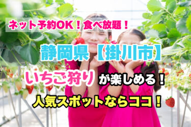 掛川市【いちご狩り・食べ放題の人気スポット５選！】ネット予約OK！静岡県