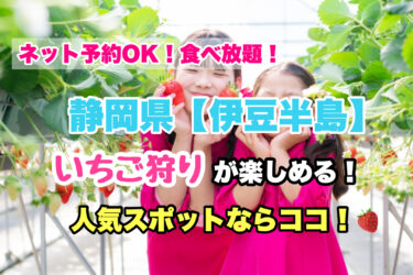 伊豆半島【いちご狩り・食べ放題の人気スポット９選】ネット予約OK！静岡県