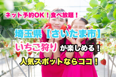 さいたま市【いちご狩り・食べ放題の人気スポット５選】ネット予約OK！埼玉県