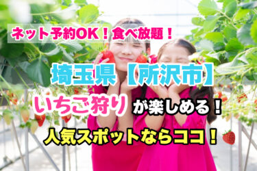 所沢市【いちご狩り・食べ放題の人気スポット３選】ネット予約OK！埼玉県