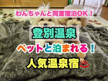 登別温泉【ペット同伴宿泊OK！愛犬と過ごせる人気宿ならココ！】北海道