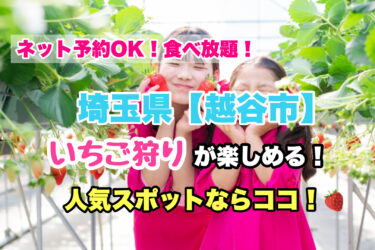 越谷市【いちご狩り・食べ放題の人気スポット５選】ネット予約OK！埼玉県