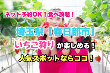 春日部市【いちご狩り・食べ放題の人気スポット！】ネット予約OK！埼玉県