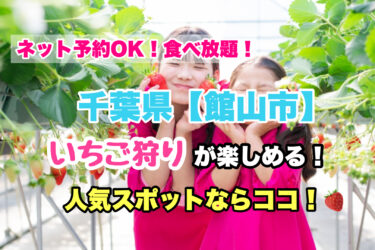 館山市【いちご狩り・食べ放題の人気スポット！】ネット予約OK！千葉県