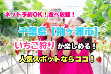 袖ケ浦市【いちご狩り・食べ放題の人気スポット！】ネット予約OK！千葉県