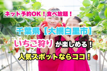 大網白里市【いちご狩り・食べ放題の人気スポット！】ネット予約OK！千葉県