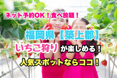 築上郡【いちご狩り・食べ放題の人気スポット！】ネット予約OK！福岡県