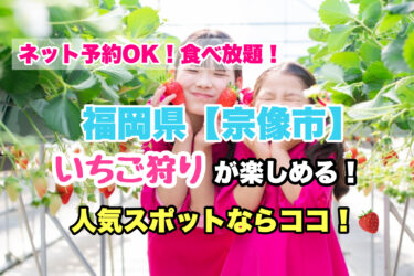 宗像市【いちご狩り・食べ放題の人気スポット！】ネット予約OK！福岡県