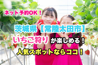 常陸太田市【いちご狩り・食べ放題の人気スポット！】ネット予約OK！茨城県
