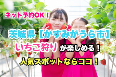 かすみがうら市【いちご狩り・食べ放題の人気スポット！】ネット予約OK！茨城県