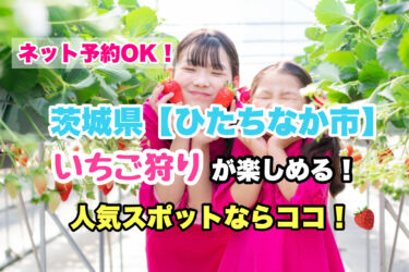ひたちなか市【いちご狩り・食べ放題の人気スポット！】ネット予約OK！茨城県