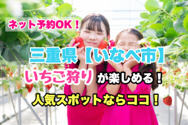 いなべ市【いちご狩り・食べ放題の人気スポット４選】ネット予約OK！三重県
