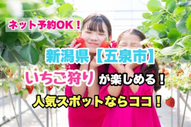 五泉市【いちご狩り・食べ放題の人気スポット！】ネット予約OK！新潟県
