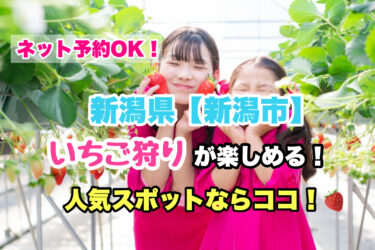 新潟市【いちご狩り・食べ放題の人気スポット！】ネット予約OK！新潟県