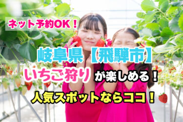 飛騨市【いちご狩り・食べ放題の人気スポット！】ネット予約OK！岐阜県