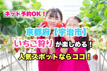 宇治市【いちご狩り・食べ放題の人気スポット！】ネット予約OK！京都府