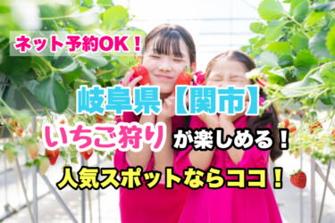 関市【いちご狩り・食べ放題の人気スポット！】ネット予約OK！岐阜県