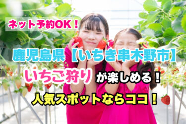 いちき串木野市【いちご狩り・食べ放題の人気スポット！】ネット予約OK！鹿児島県
