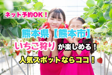 熊本市【いちご狩り・食べ放題の人気スポット！】ネット予約OK！熊本県