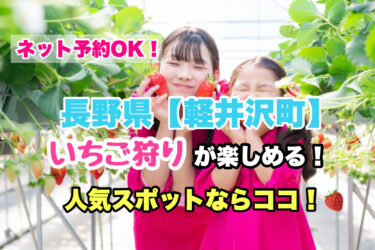 軽井沢町【いちご狩り・食べ放題の人気スポット！】ネット予約OK！長野県