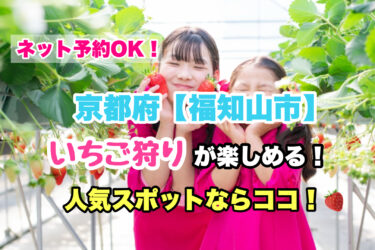 福知山市【いちご狩り・食べ放題の人気スポット！】ネット予約OK！京都府