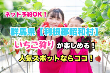 利根郡昭和村【いちご狩り・食べ放題の人気スポット！】ネット予約OK！群馬県
