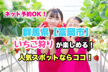 富岡市【いちご狩り・食べ放題の人気スポット！】ネット予約OK！群馬県