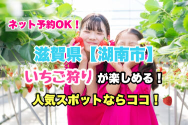 湖南市【いちご狩り・食べ放題の人気スポット！】ネット予約OK！滋賀県
