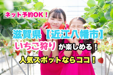 近江八幡市【いちご狩り・食べ放題の人気スポット７選】ネット予約OK！滋賀県