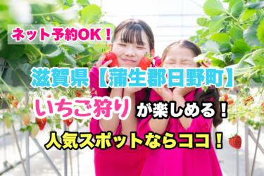 蒲生郡日野町【いちご狩り・食べ放題の人気スポット！】ネット予約OK！滋賀県