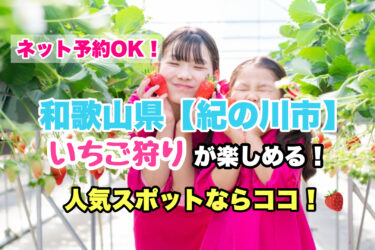 紀の川市【いちご狩り・食べ放題の人気スポット５選】ネット予約OK！和歌山県