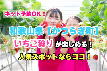 伊都郡かつらぎ町【いちご狩り・食べ放題の人気スポット！】ネット予約OK！和歌山県