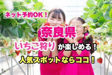 奈良県【いちご狩り・食べ放題の人気スポット６選】ネット予約OK！ファミリー・カップルにおすすめ！