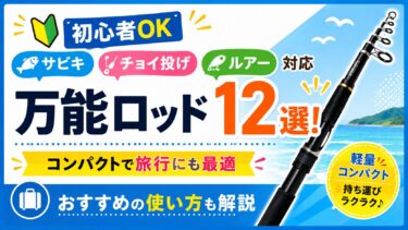 初心者OK｜サビキ・チョイ投げ・ルアー対応万能ロッド１２選！コンパクトで旅行にも最適・おすすめの使い方も解説