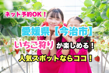 今治市【いちご狩り・食べ放題の人気スポット！】ネット予約OK！愛媛県